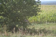 Enduro Opařany 30.08.2008 (193)